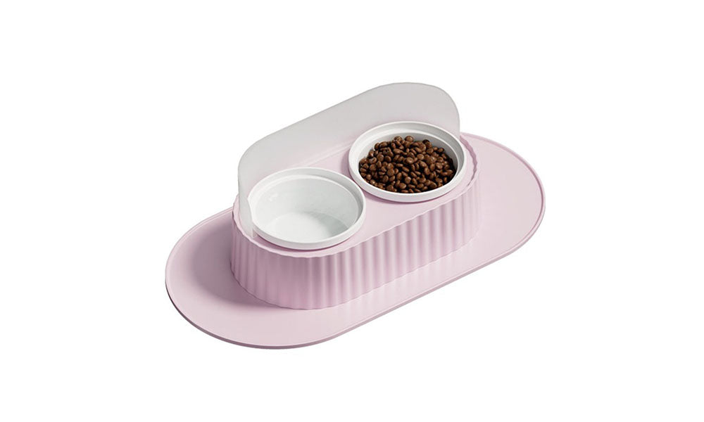 Ceramic Double Bowl Pet Feeding Set with Elevated Stand and Non-Slip Mat