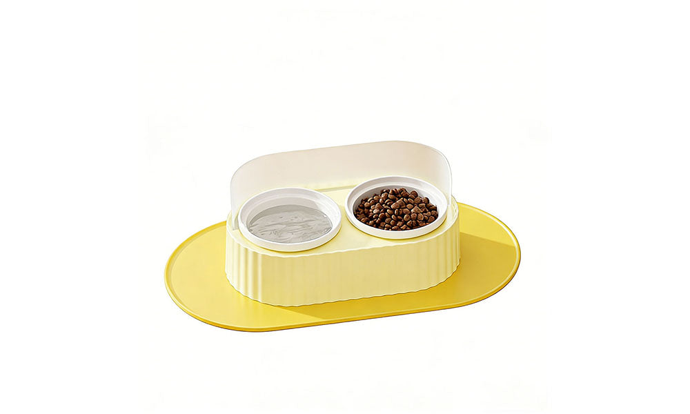 Ceramic Double Bowl Pet Feeding Set with Elevated Stand and Non-Slip Mat