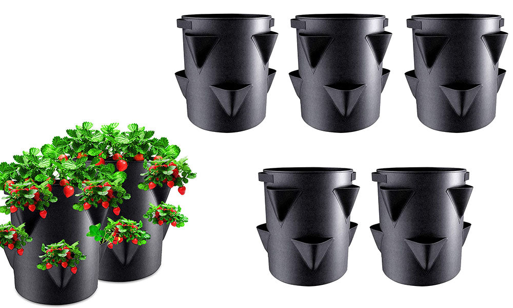 5Pcs Strawberry Growing Bag Multiple Holes Fruit Vegetable Grow Bag with Handles