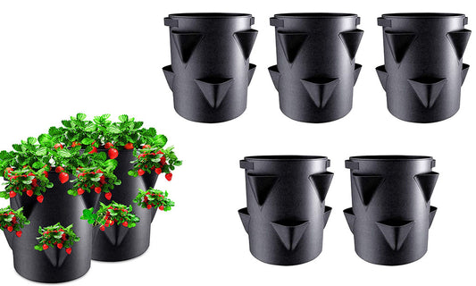 5Pcs Strawberry Growing Bag Multiple Holes Fruit Vegetable Grow Bag with Handles