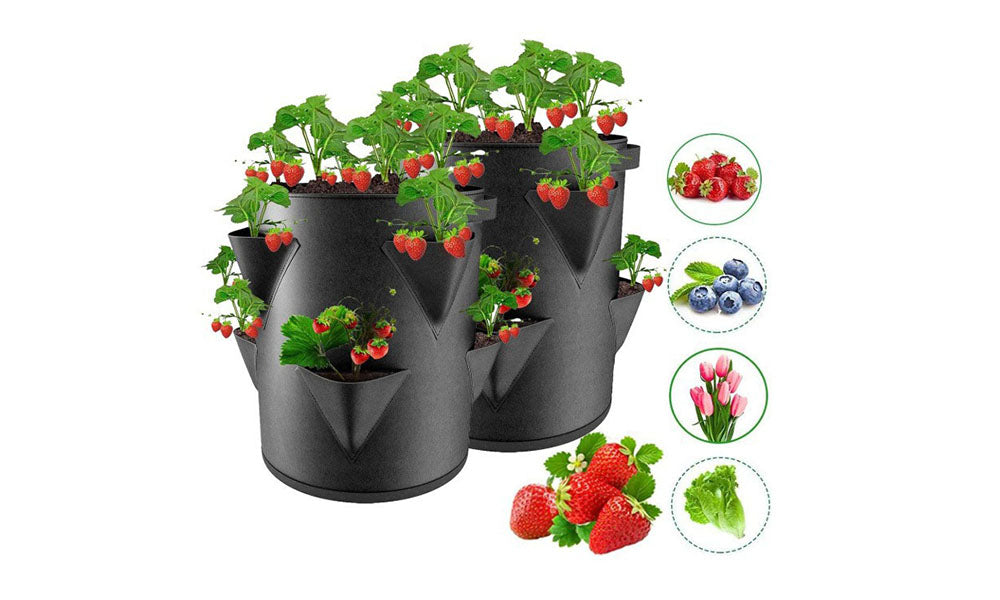 5Pcs Strawberry Growing Bag Multiple Holes Fruit Vegetable Grow Bag with Handles