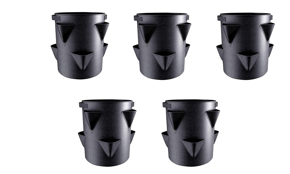 5Pcs Strawberry Growing Bag Multiple Holes Fruit Vegetable Grow Bag with Handles