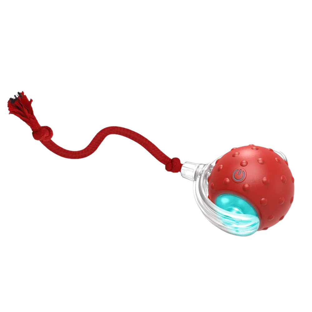 Motion Activate Interactive Cat Toy Rechargeable Smart Rolling Ball with Rope