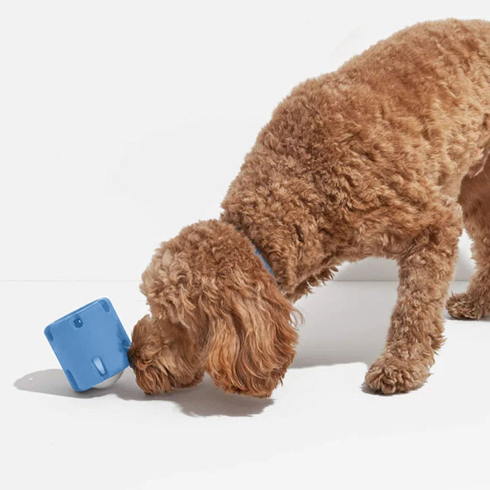 Pet Chew Toy Tennis Tumble Puzzle Toy Pet Interactive Training Toy - Light Blue