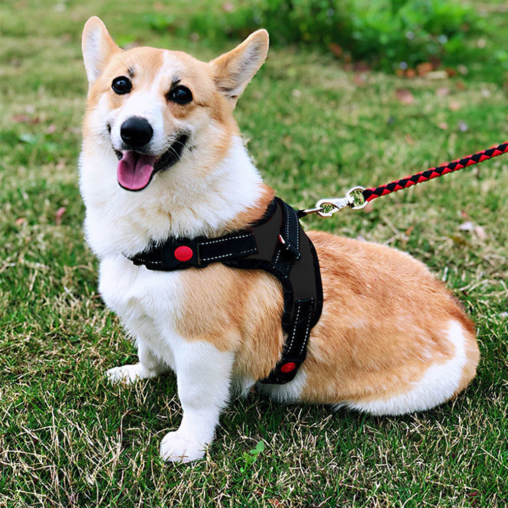 No-Pull Pet Dog Harness with Handle Adjustable Padded Vest - Black-M