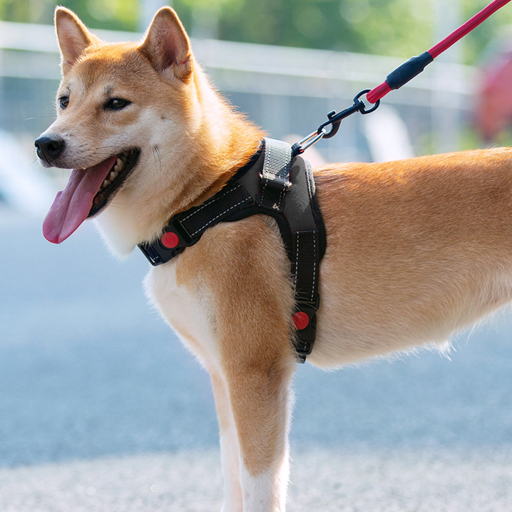 No-Pull Pet Dog Harness with Handle Adjustable Padded Vest - Black-S