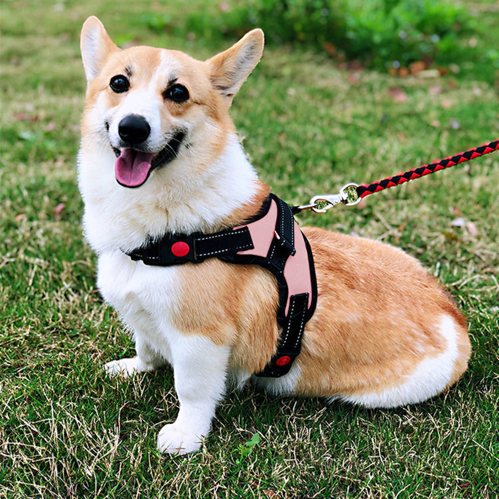 No-Pull Pet Dog Harness with Handle Adjustable Padded Vest - Pink-L