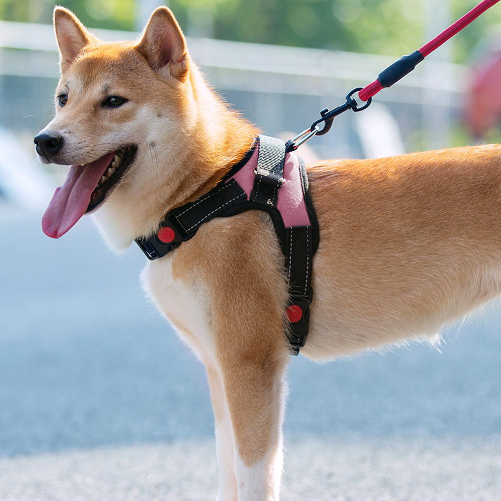No-Pull Pet Dog Harness with Handle Adjustable Padded Vest - Pink-M