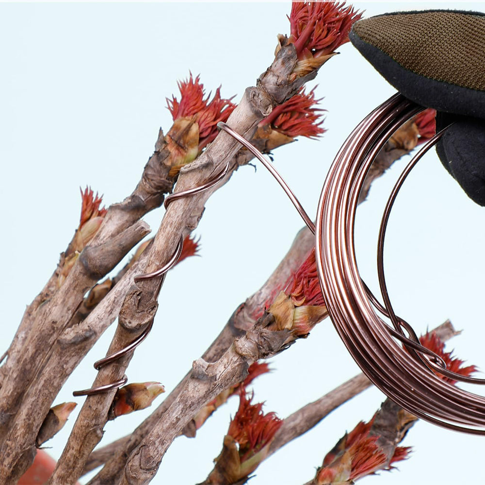 2 Roll 5m Bonsai Aluminium Wire Plant Styling Training Wire Fastener Tool Coffee