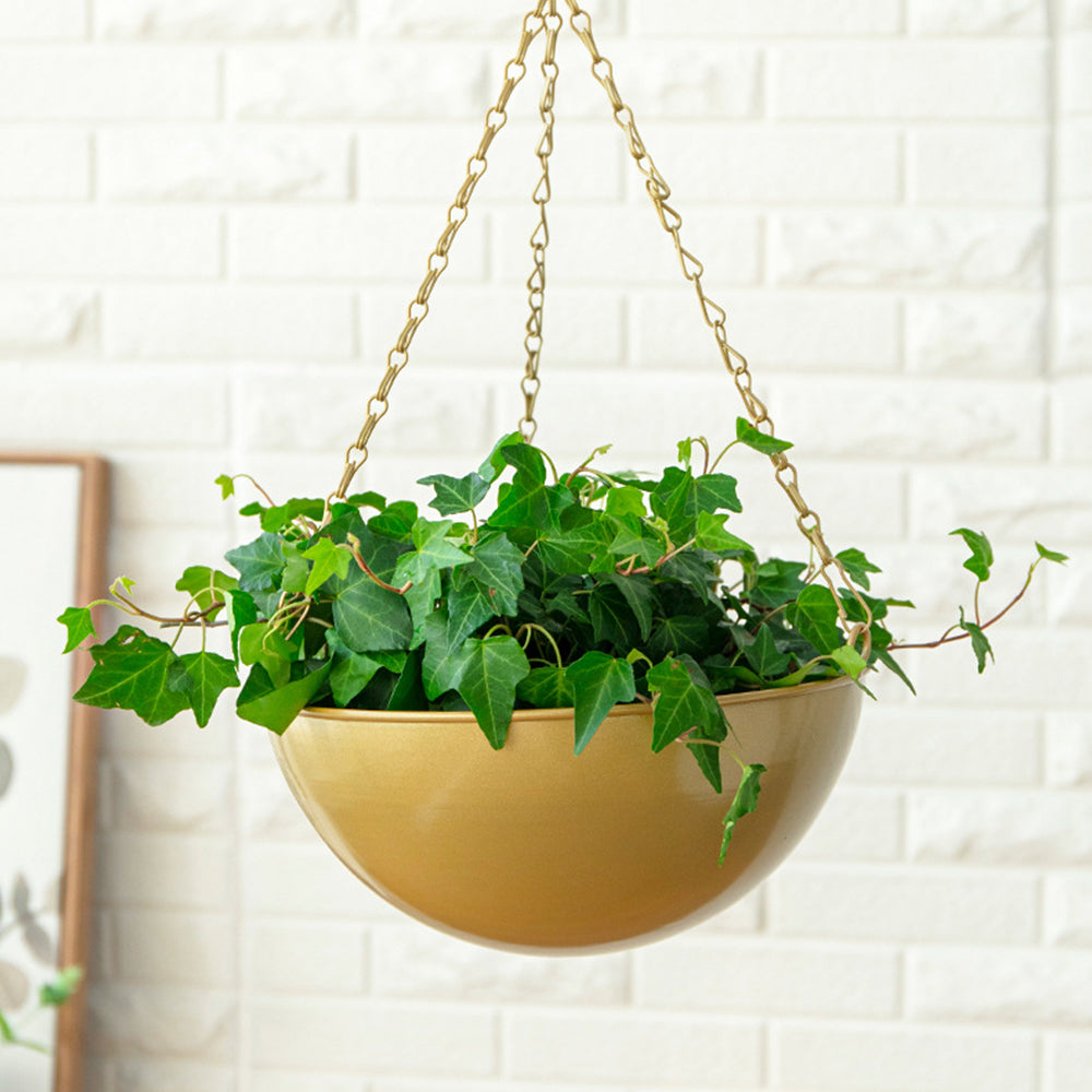 2Pcs Iron Hanging Planter Metal Flower Pots Outdoor Indoor Garden Planters Gold