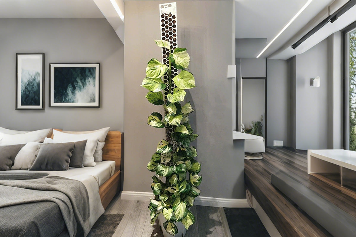Moss Pole Plant Extension Support Tall Plant Sticks Support for Climbing Plants