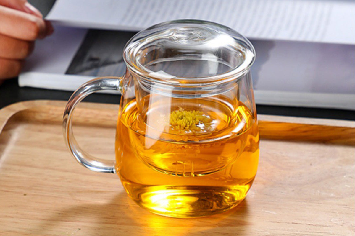 Glass Tea Cup with Infuser and Lid Borosilicate Tea Mug for Loose Leaf Tea