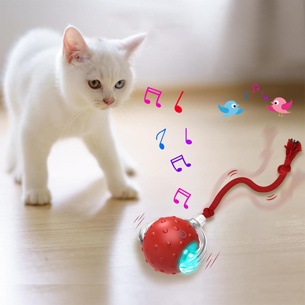 Motion Activate Interactive Cat Toy Rechargeable Smart Rolling Ball with Rope