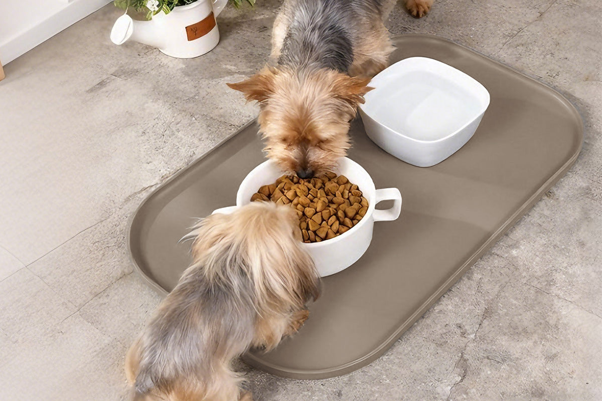 Silicone Pet Feeding Mat Raised Edge Anti-Spill Washable Non-Slip Placemat