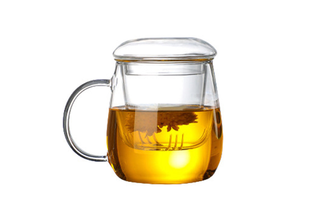 Glass Tea Cup with Infuser and Lid Borosilicate Tea Mug for Loose Leaf Tea