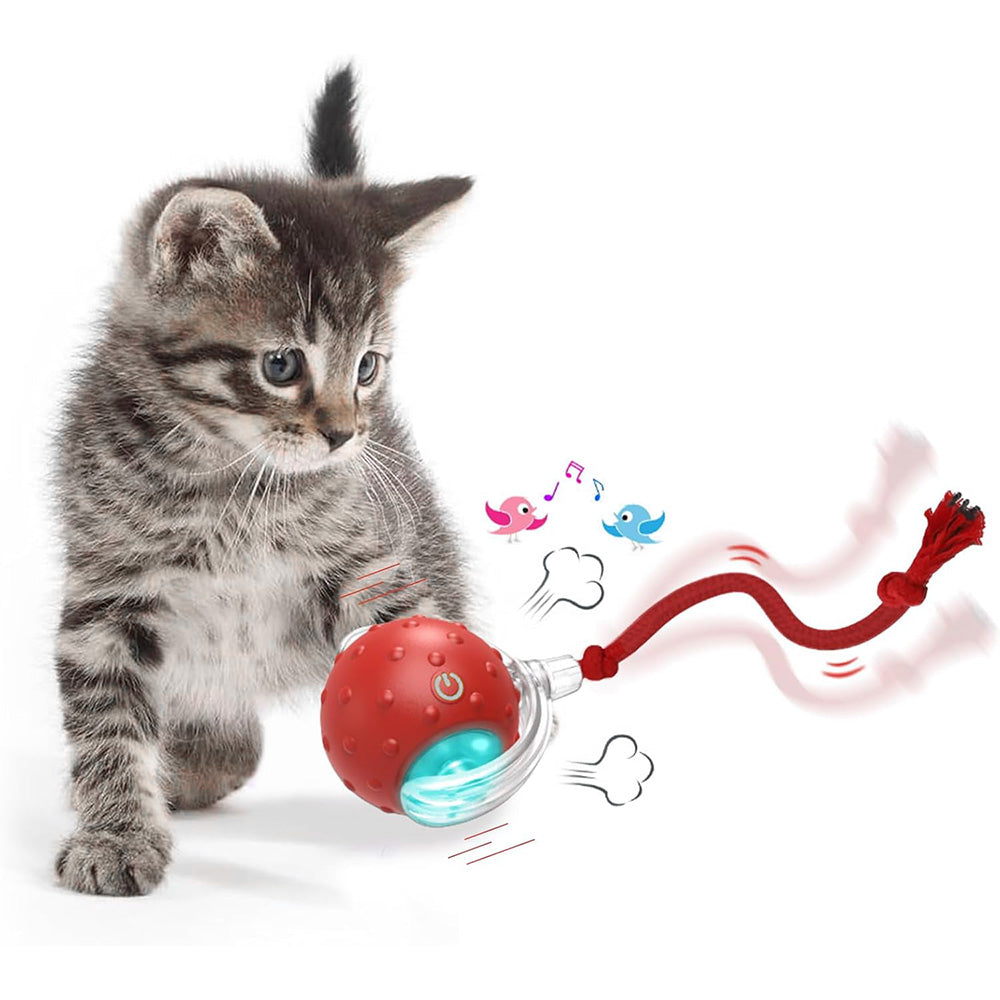 Motion Activate Interactive Cat Toy Rechargeable Smart Rolling Ball with Rope