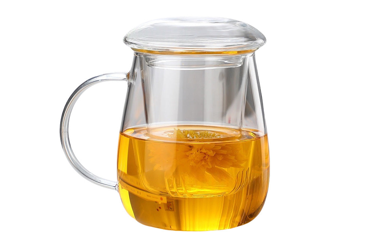 Glass Tea Cup with Infuser and Lid Borosilicate Tea Mug for Loose Leaf Tea