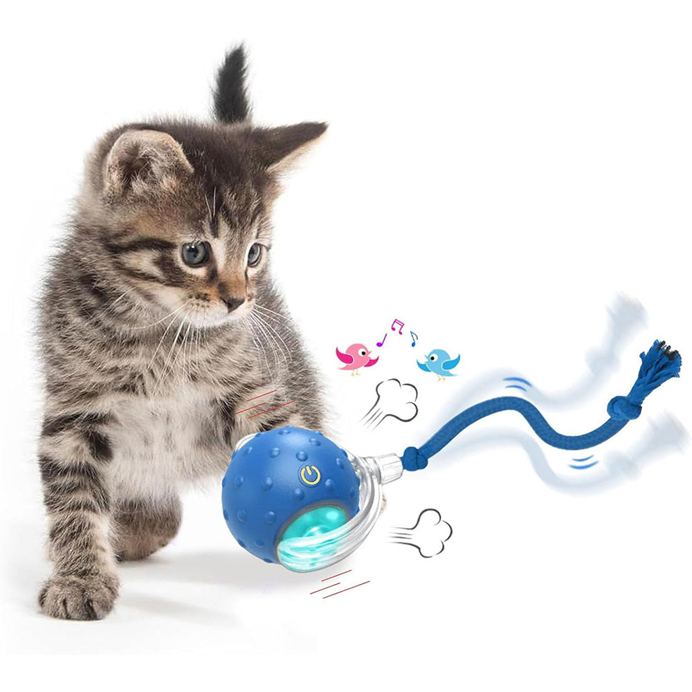 Motion Activate Interactive Cat Toy Rechargeable Smart Rolling Ball with Rope