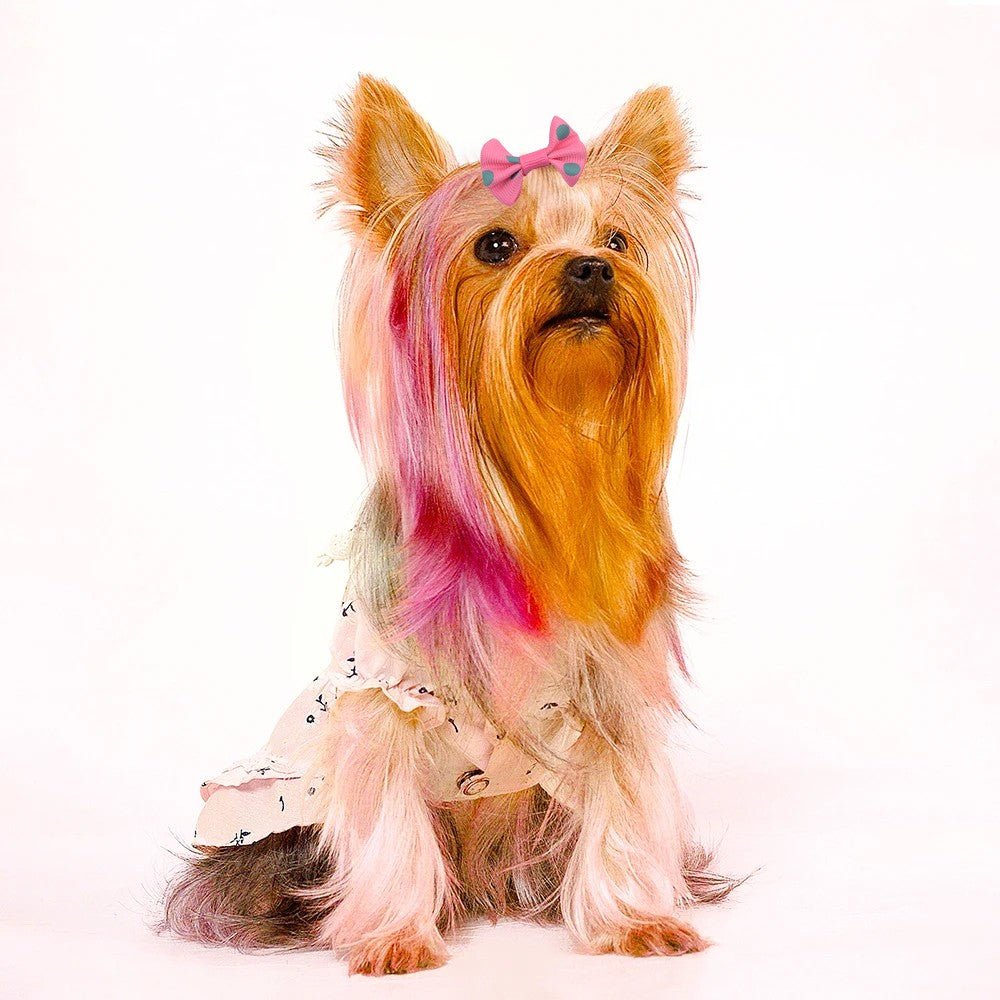 100Pcs Pet Bows Hair Accessories with Rubber Bands Pet Grooming Accessory Random