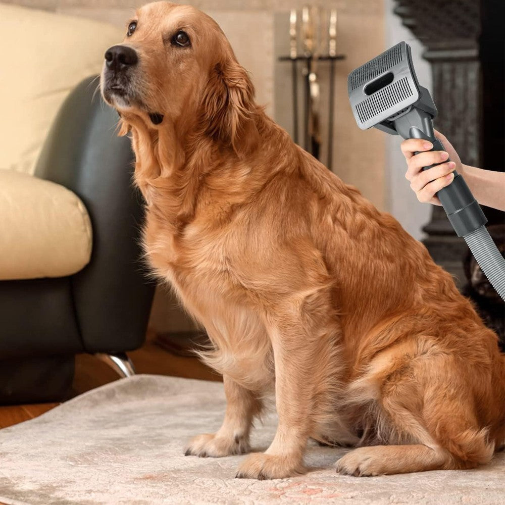 Dog Hair Brush Kit Pet Grooming Brush Attachment for Dyson V7 V8 V10 V11 Vacuum