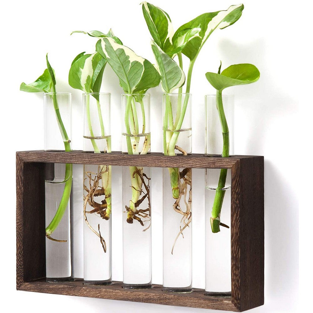 Wall Hanging Glass Planter Tabletop Plant Terrarium Flower Vase with 5 Test Tube