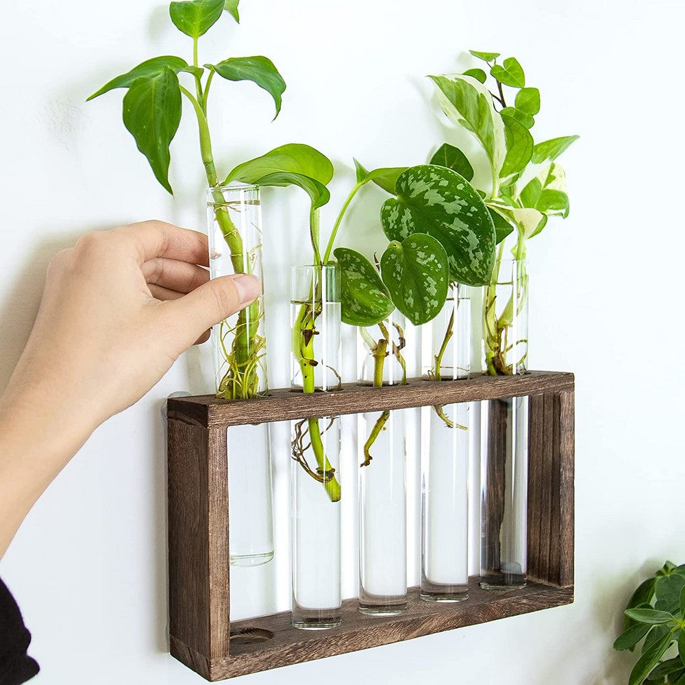 Wall Hanging Glass Planter Tabletop Plant Terrarium Flower Vase with 5 Test Tube