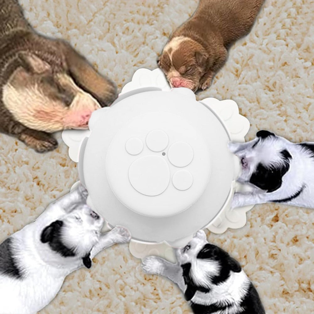 Puppy Kitten Milk Feeder Bottle with 5 Nipples - White