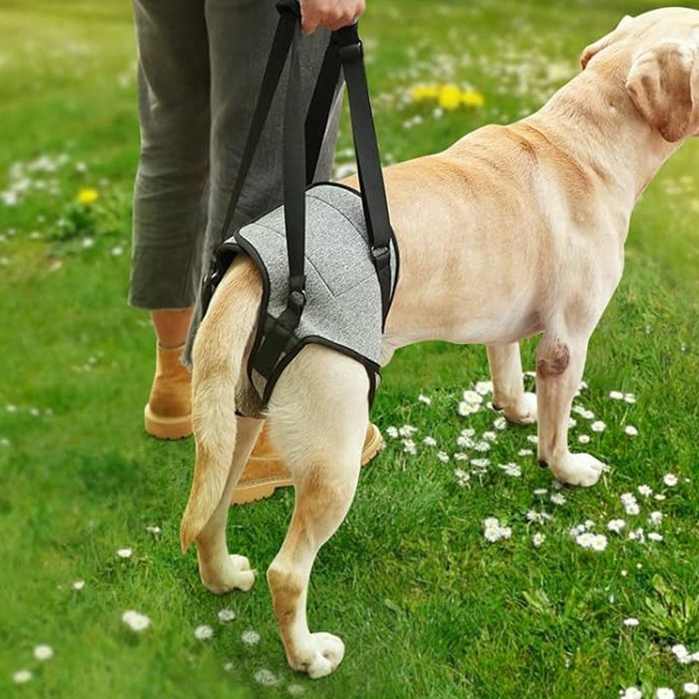 Adjustable Dog Lift Harness Dog Back Legs Support Harness Dog Sling for Elderly Dogs - L