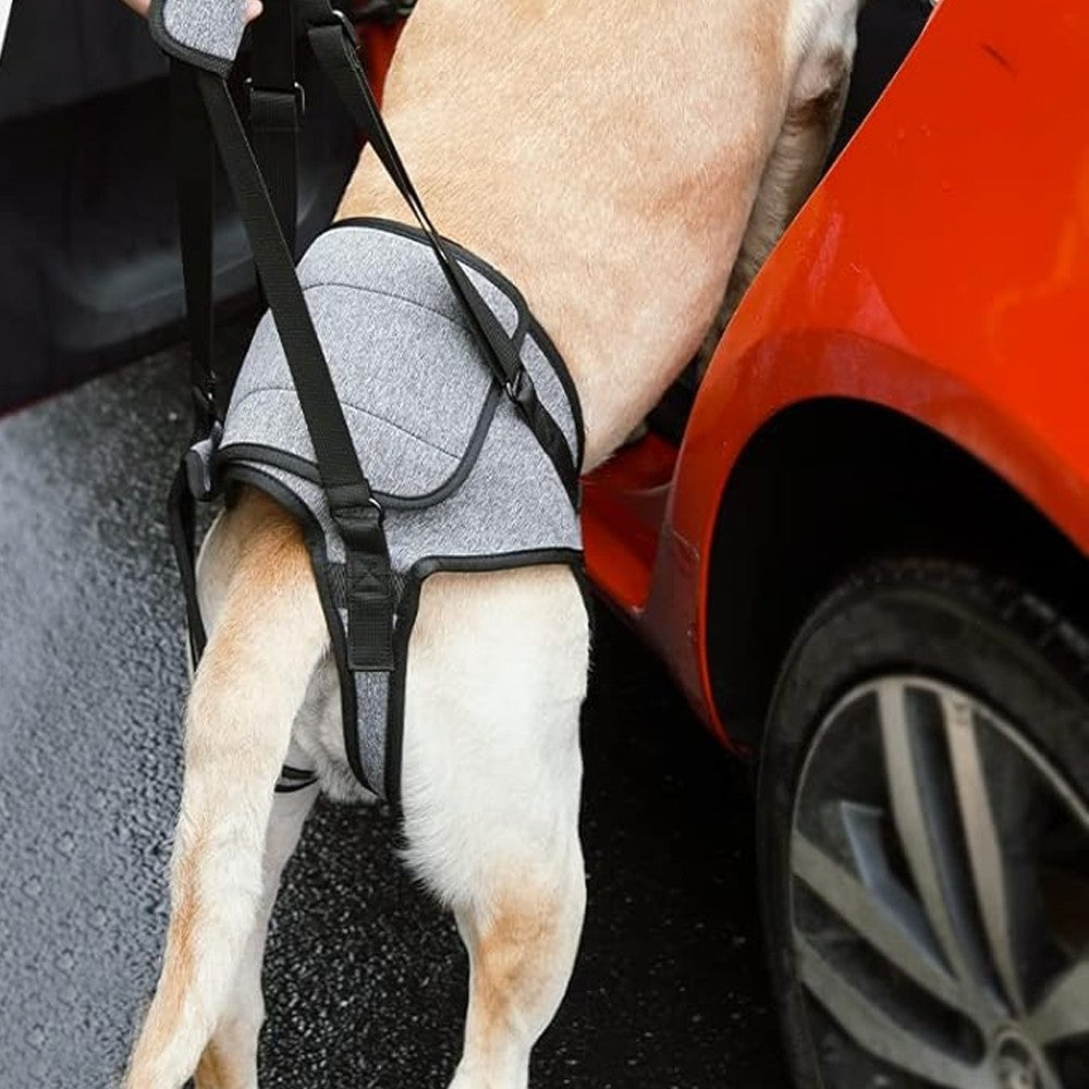 Adjustable Dog Lift Harness Dog Back Legs Support Harness Dog Sling for Elderly Dogs - L