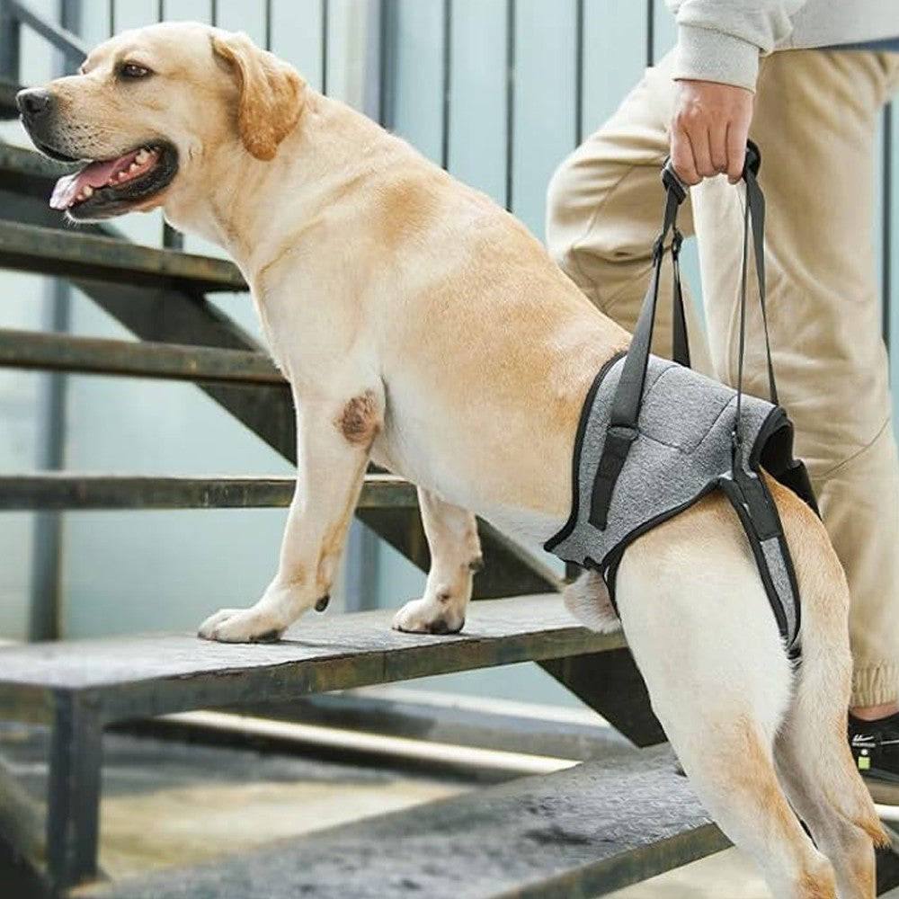 Adjustable Dog Lift Harness Dog Back Legs Support Harness Dog Sling for Elderly Dogs - M