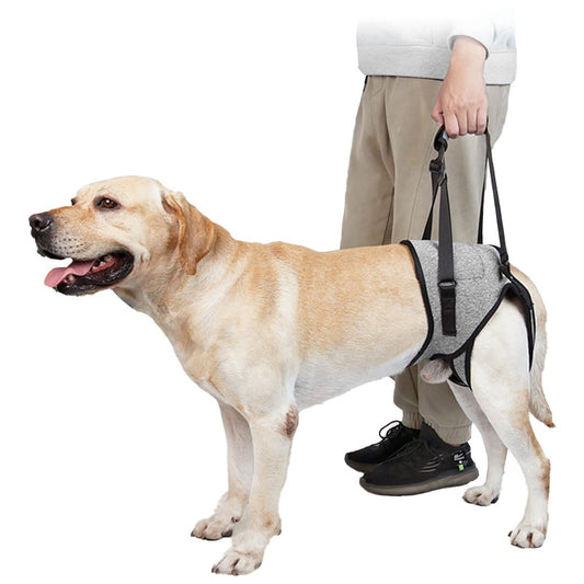 Adjustable Dog Lift Harness Dog Back Legs Support Harness Dog Sling for Elderly Dogs - XL