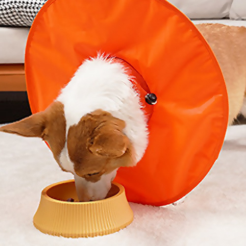 Dog Recovery Collar Adjustable Dog E-Collar Dog Cone Collar Alternatives - Orange L