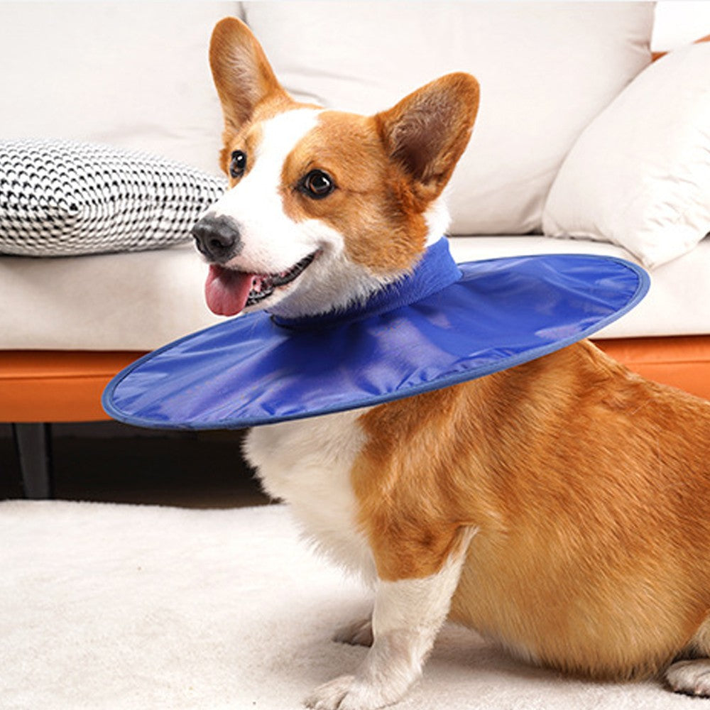 Dog Recovery Collar Adjustable Dog E-Collar Dog Cone Collar Alternatives - Blue M