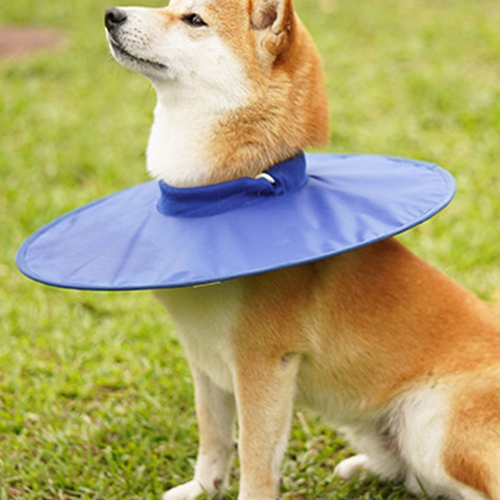 Dog Recovery Collar Adjustable Dog E-Collar Dog Cone Collar Alternatives - Blue M