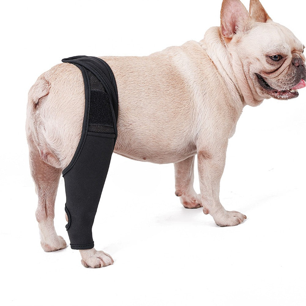 Pet Dog Knee Support Brace Leg Hock Front Back Protector Compression Wrap - S