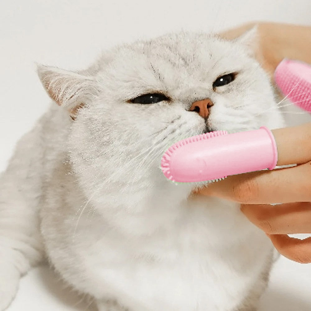 3Pcs Double-finger Pet Toothbrush Silicone Finger Cat Dog Tooth Brushing Kit