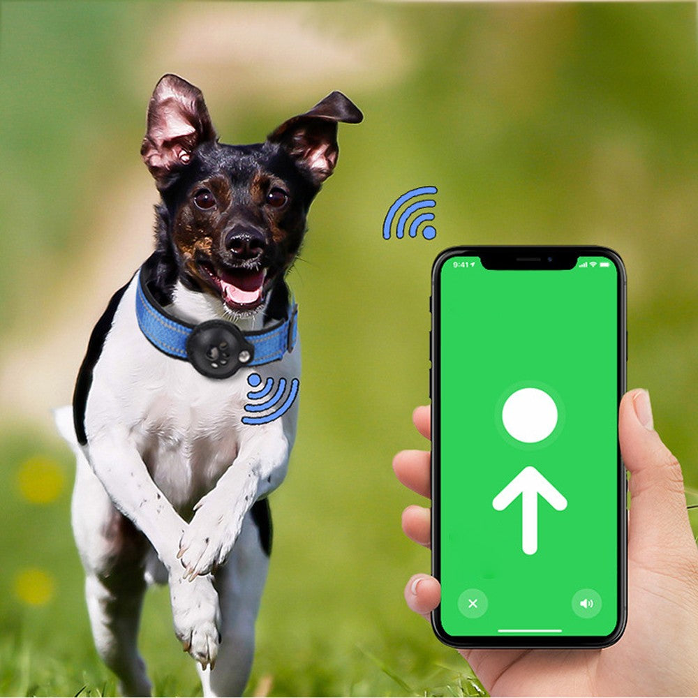 Reflective Pet Dog Collar with AirTag Holder - Blue L