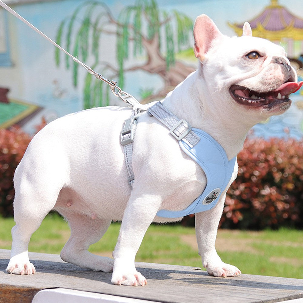 Dog Harness and Leash Set Escape Proof Pet Vest Harnesses - Blue S