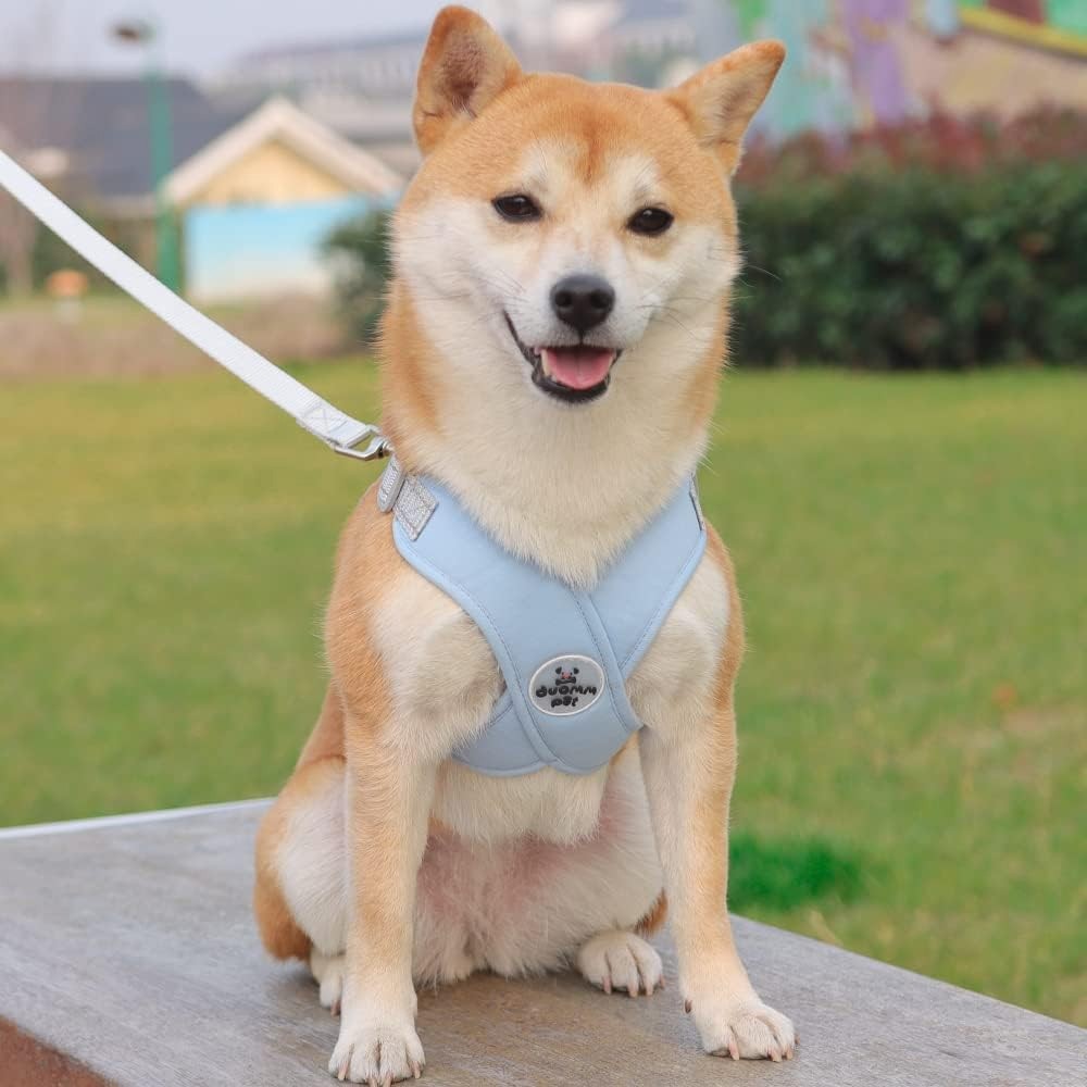 Dog Harness and Leash Set Escape Proof Pet Vest Harnesses - Blue M