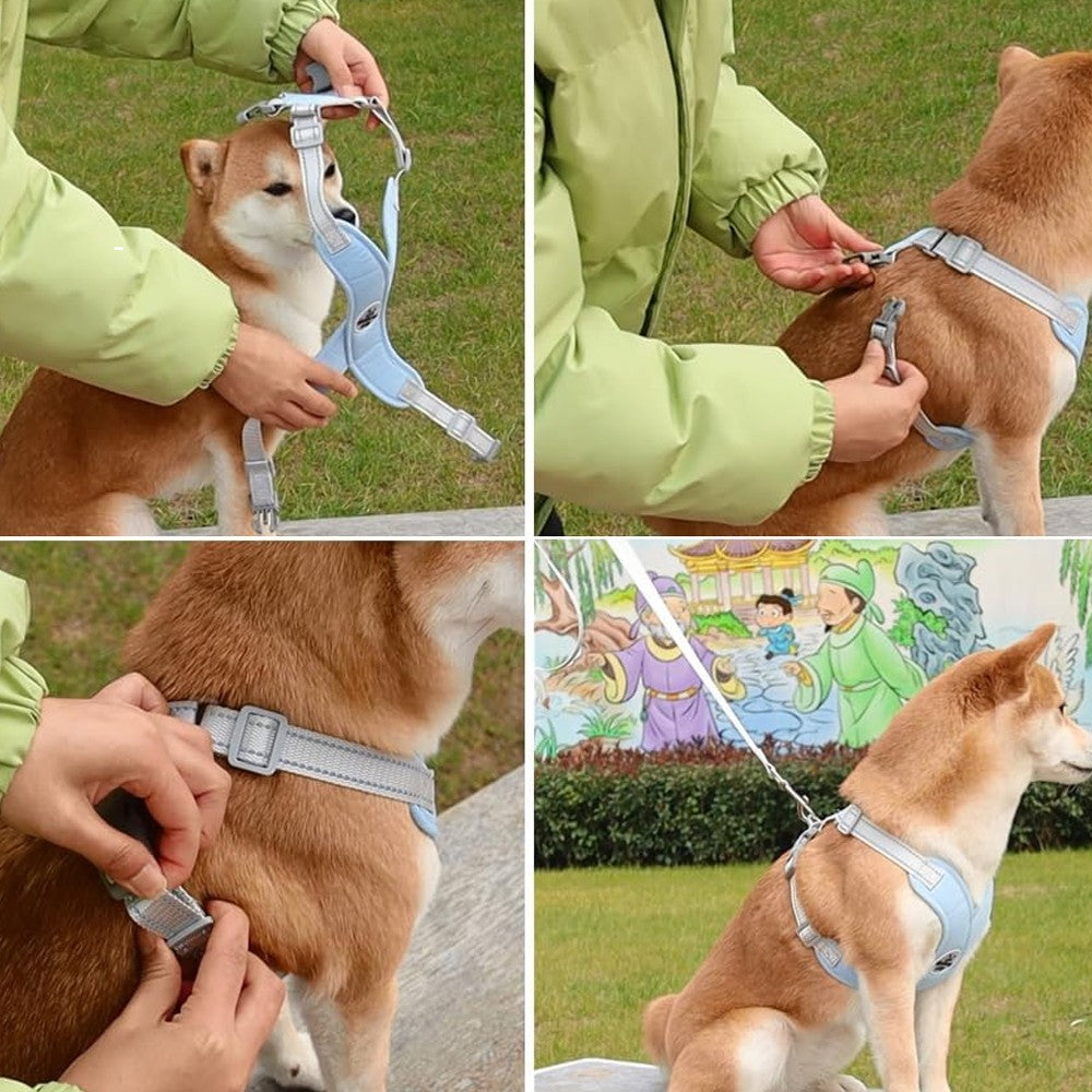 Dog Harness and Leash Set Escape Proof Pet Vest Harnesses - Blue S