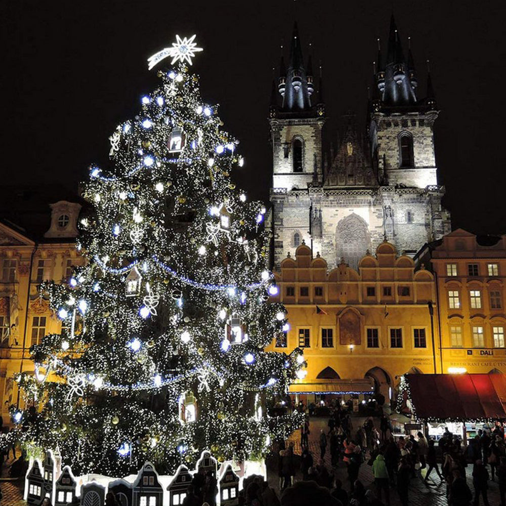 10LED Solar Powered String Light Bulbs Lamp for Garden Yard Wedding Party White