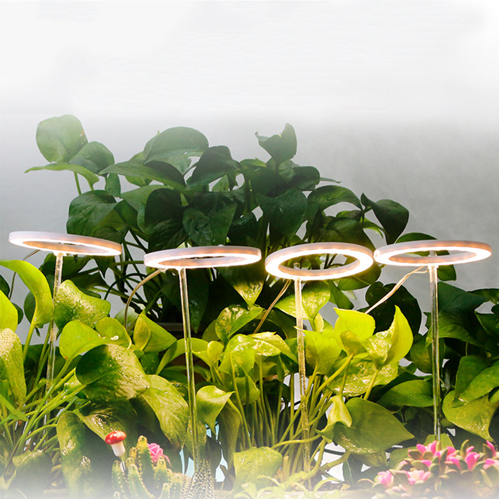 Four Heads Plant Growing Ring Lamp LED Grow Light Warm White