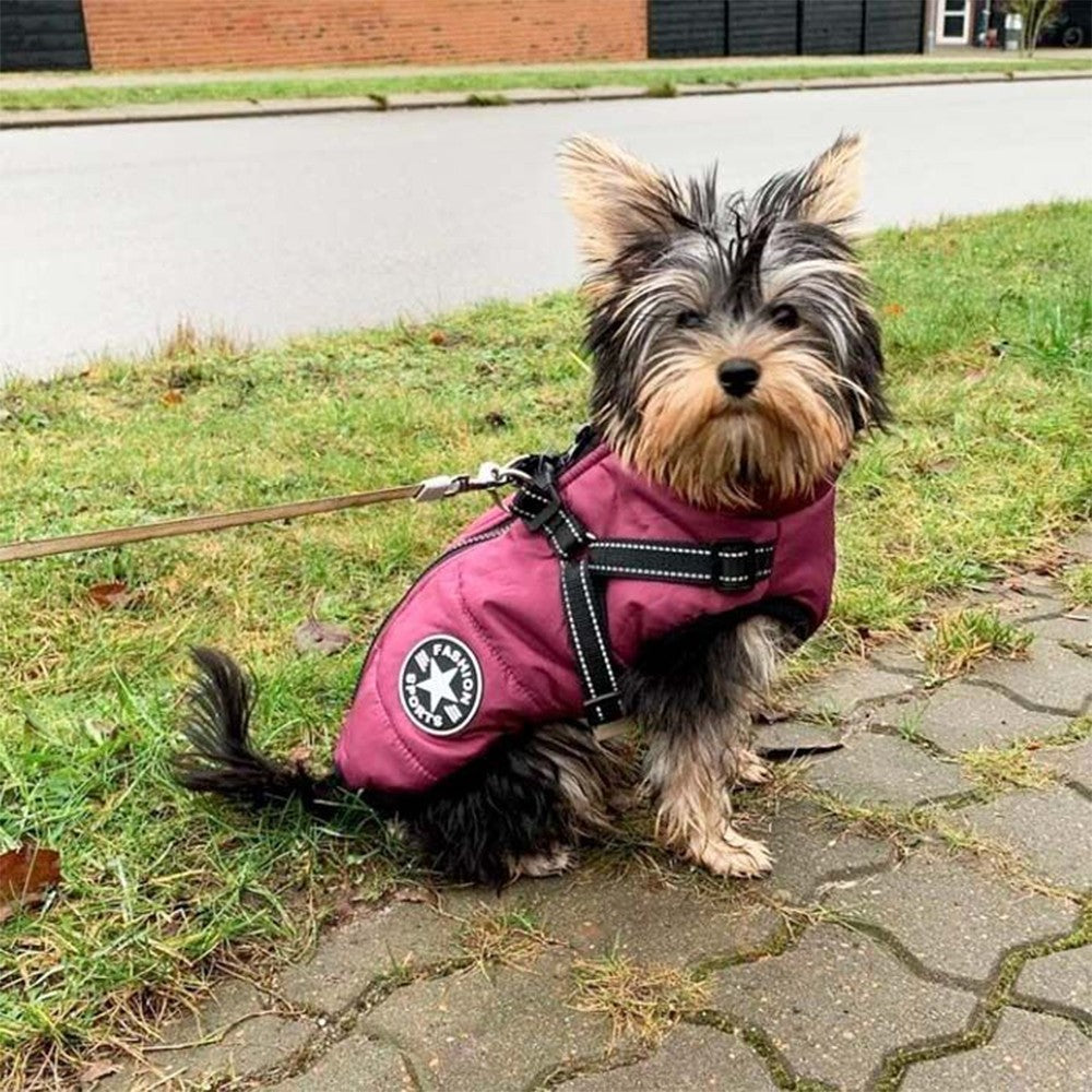 Waterproof Warm Winter Dog Harness Coat Purple 3XL Size