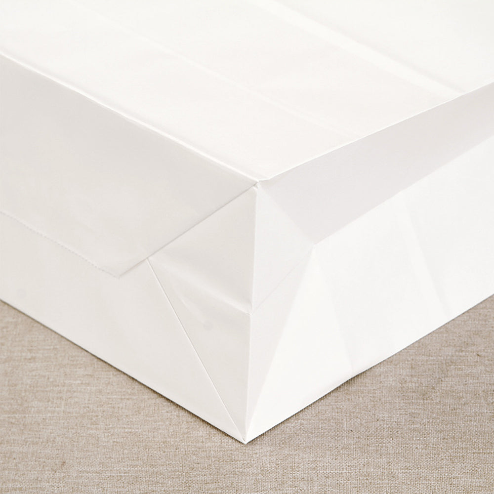 20 X Kraft Paper Bags Party Favor Bags Shopping Bags Grocery Bags White