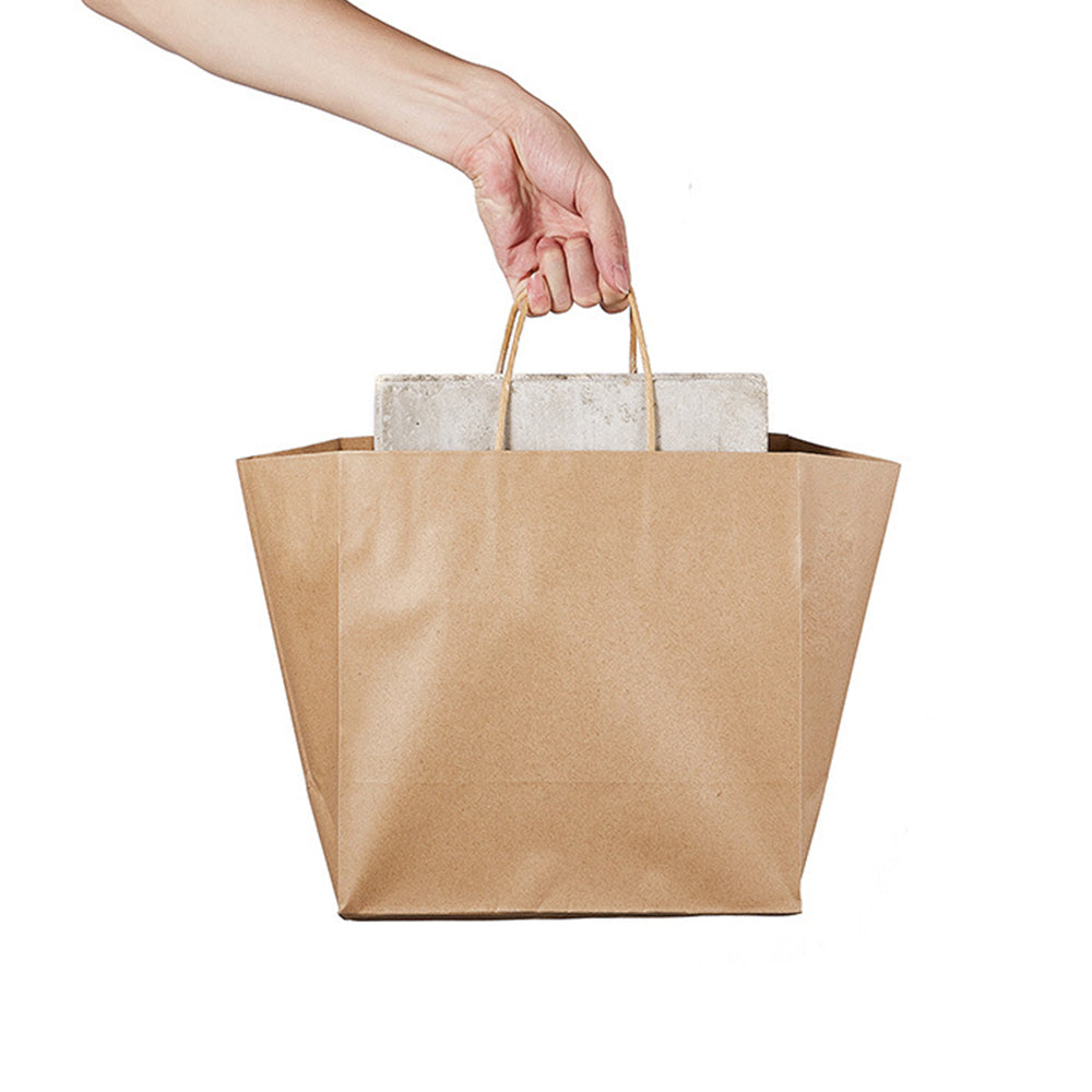 20 X Kraft Paper Bags Party Favor Bags Shopping Bags Grocery Bags Brown