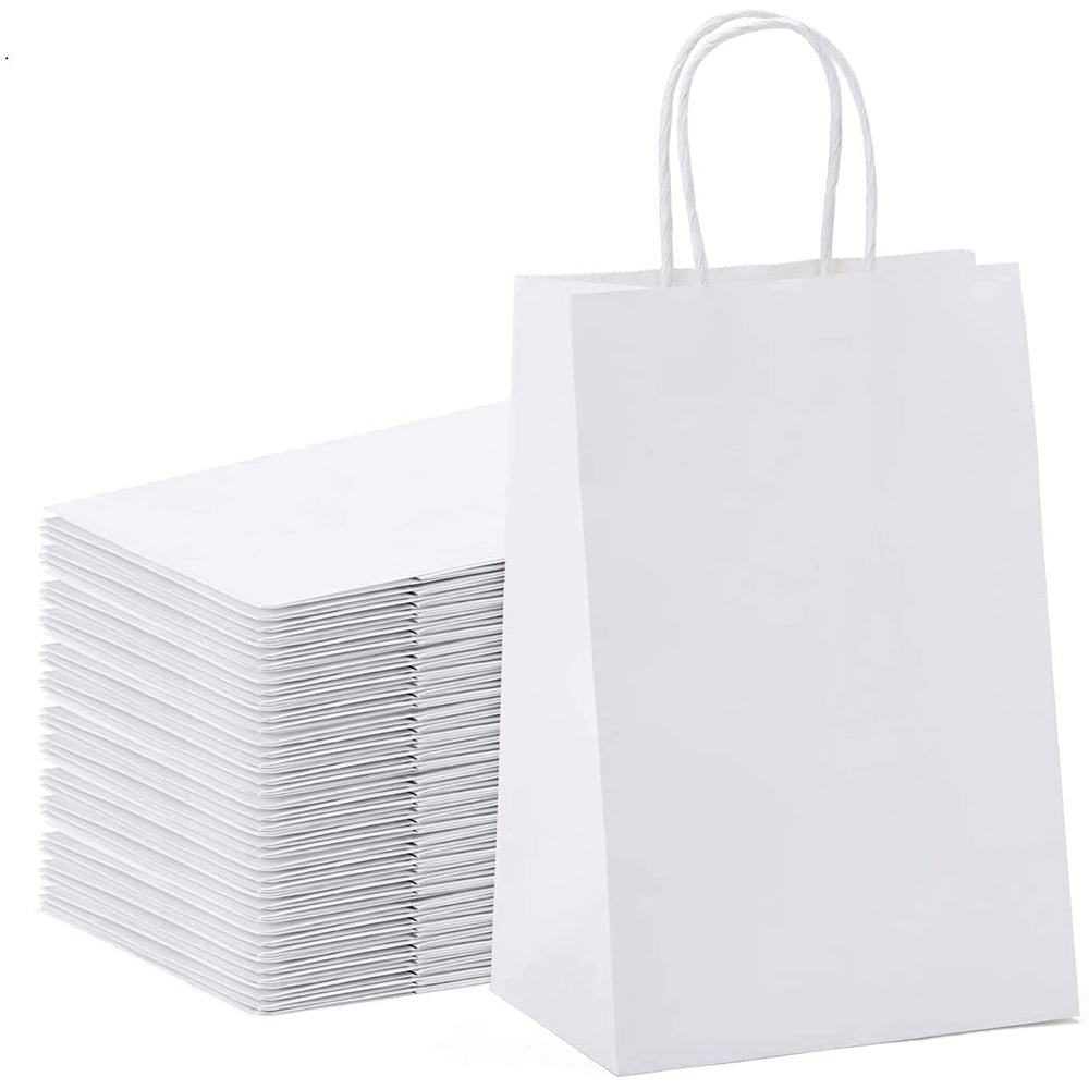 20 X Kraft Paper Bags Party Favor Bags Shopping Bags Grocery Bags White