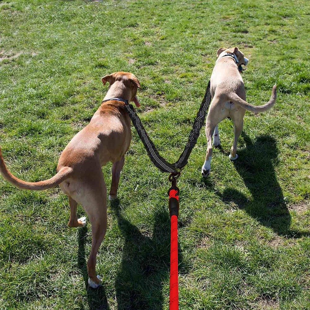Set of Dual Dog Leash and Leash Extender with Reflective Point Red