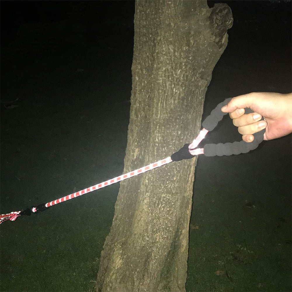 Set of Dual Dog Leash and Leash Extender with Reflective Point Red