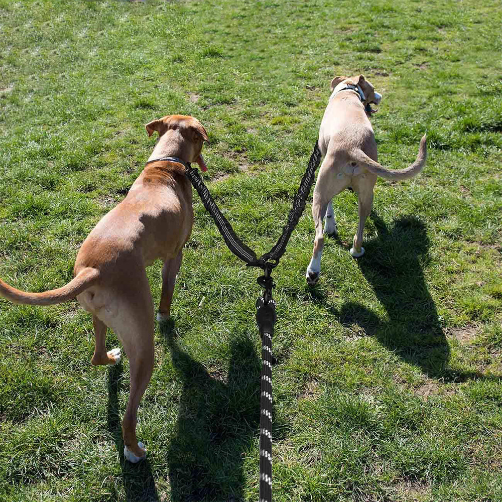 2 Sets of Dual Dog Leash and Leash Extender with Reflective Point