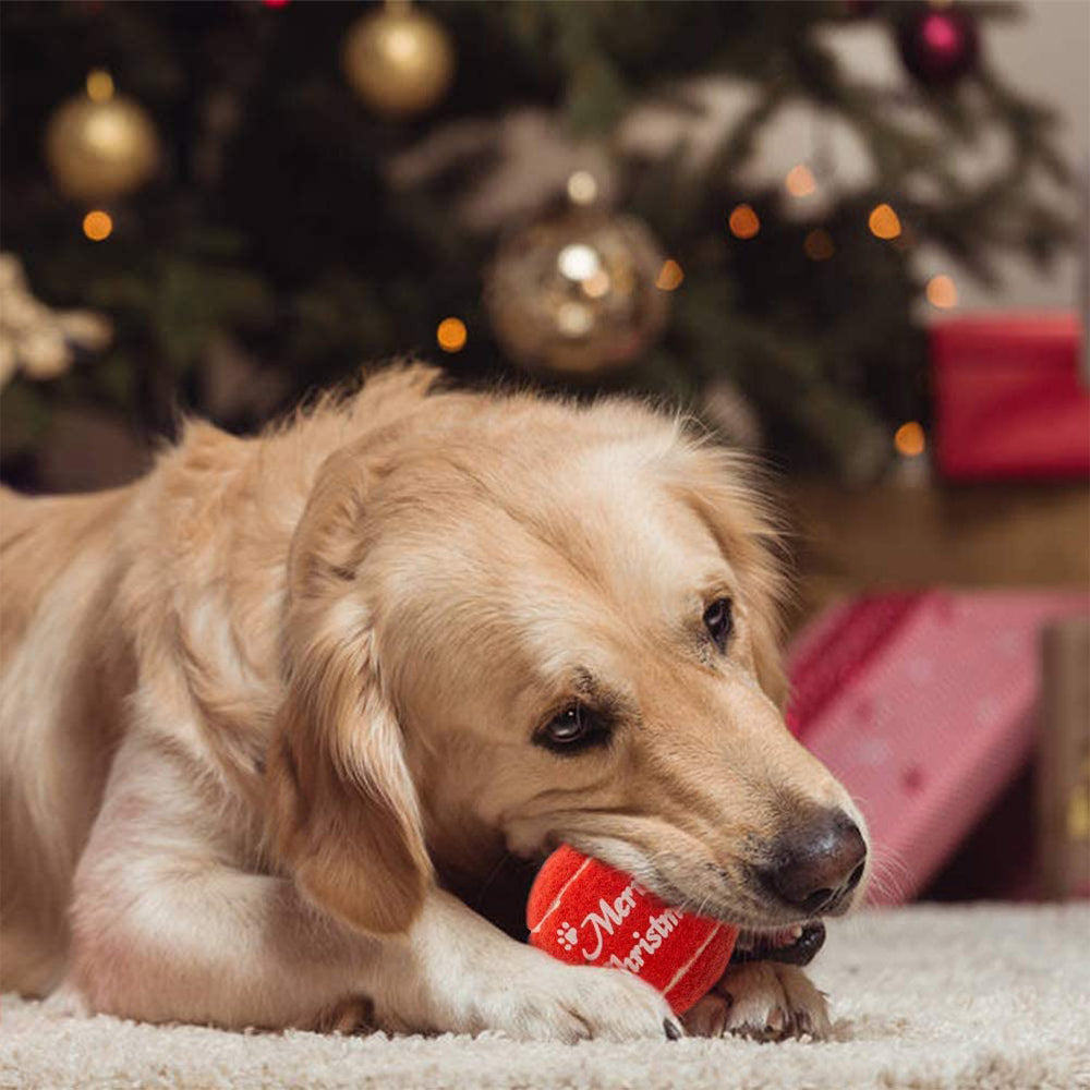 6 X Christmas Dog Toy Puppy Toy Pet Squeaky Toys Plush Chew Squeaker